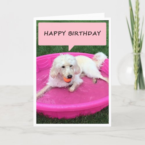 HAPPY BIRTHDAY FROM THIS SWIMMING PUPPY CARD