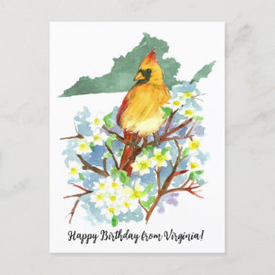 Happy Birthday from Virginia Cardinal Dogwood  Postcard