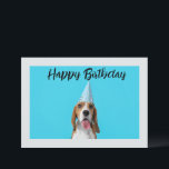 Happy Birthday from your Best Friend Dog Photo  Holiday Card<br><div class="desc">.: This card is customizable,  but includes an adorable photo of a dog in a birthday hat!</div>