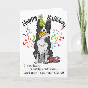 Happy Birthday from Your Border Collie Dog Buddy Card