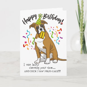 happy birthday funny boxer dog