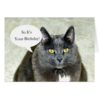 Gray Cat Happy Birthday Cards | Zazzle