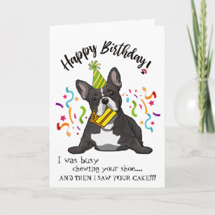 Happy Birthday from Your French Bull  Dog Buddy Card