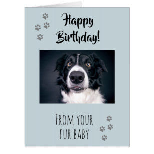 Happy Birthday from your Fur Baby Dog Cat Card