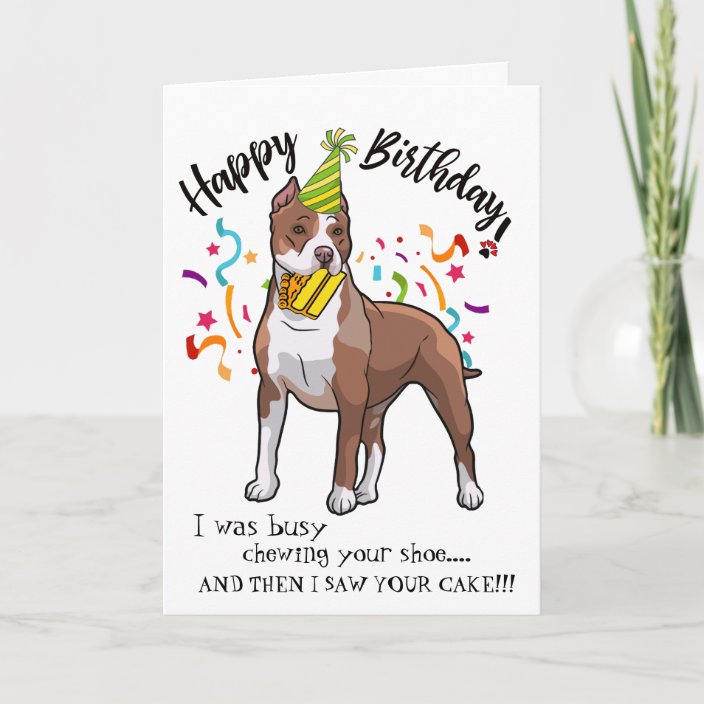 pitbull dog birthday