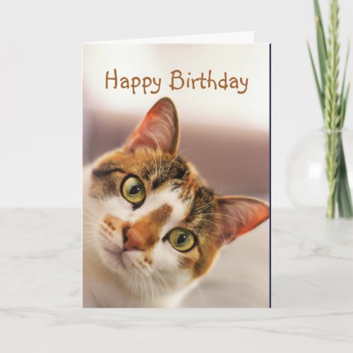 Happy Birthday Fun Cat Kitten Pop in Card
