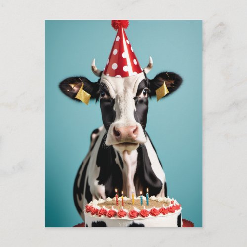 Happy Birthday Funny  BW Cow Postcard