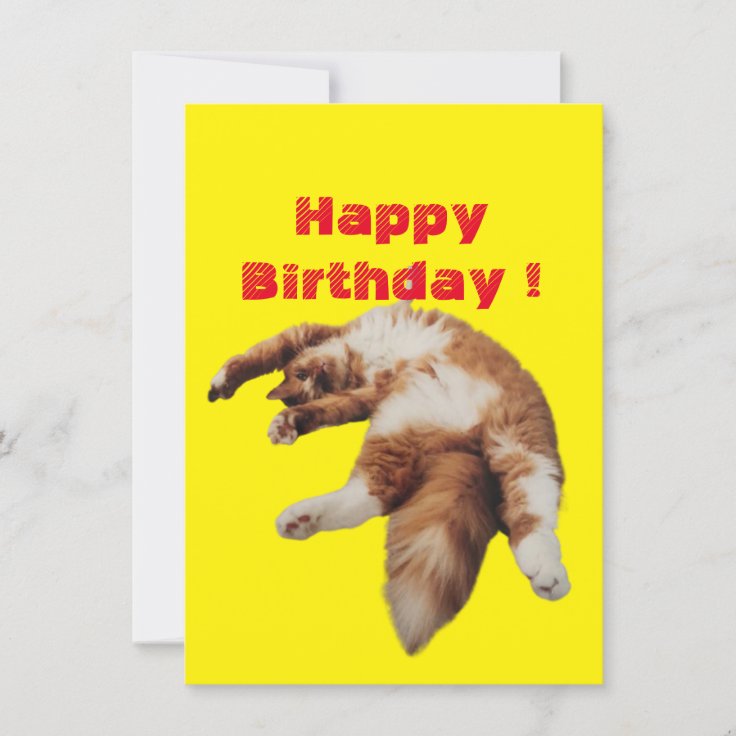 Happy Birthday Funny Beautiful Ginger Catflat Card 