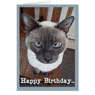 Happy Birthday Funny Big Head Siamese Cat Cards