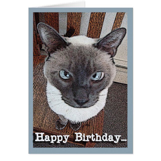Happy Birthday Funny Big Head Siamese Cat Cards (Front)