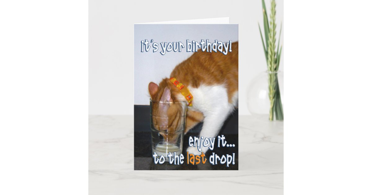 Happy Birthday Funny Cat Drinking From Glass Card Zazzle Com