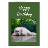 Happy Birthday Funny Cat Persective Humor (Front)