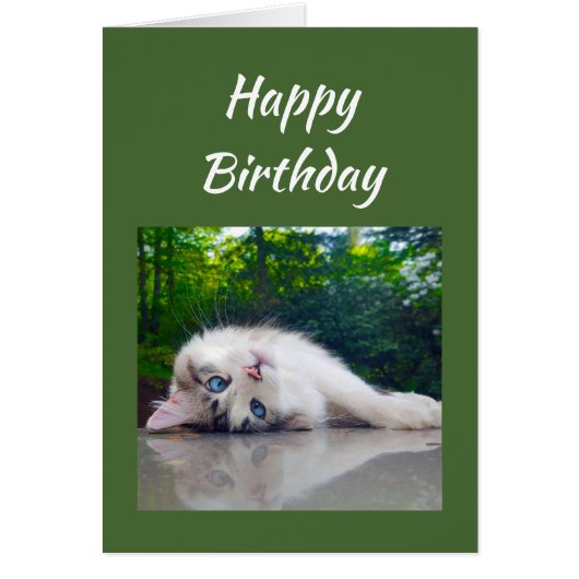 Happy Birthday Funny Cat Persective Humor (Front)