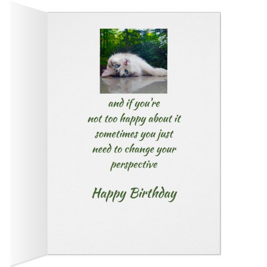 Happy Birthday Funny Cat Persective Humor (Inside (Right))