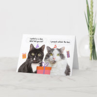Happy Birthday Funny Cats Talking Humor