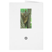 Happy Birthday Funny Chipmunk Card (Back)