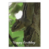 Happy Birthday Funny Chipmunk Card (Front)
