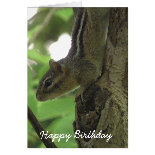 Happy Birthday Funny Chipmunk Card (Front)