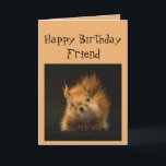 Happy Birthday  Funny FRIEND  Red Squirrel animal Card<br><div class="desc">Funny Birthday card for your FRIEND  You're aging like a might oak watch out for falling nuts</div>