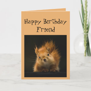 Happy Birthday  Funny FRIEND  Red Squirrel animal Card