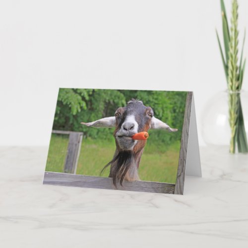 Happy Birthday Funny Goat Card