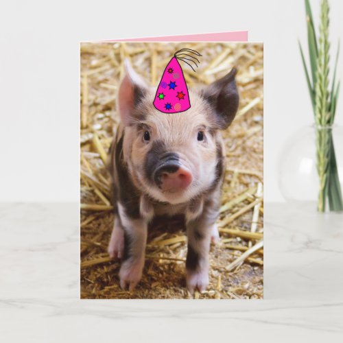 HAPPY BIRTHDAY FUNNY PIG PIGLET GREETING CARDS