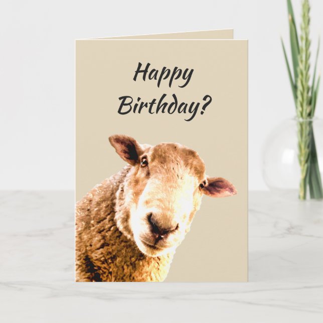Happy Birthday Funny Sheep Animal Humor Card (Front)
