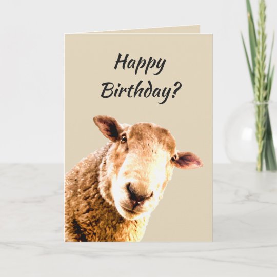 Happy Birthday Funny Sheep Animal Humor Card | Zazzle.com