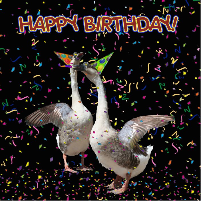 Happy Birthday Geese Statuette | Zazzle.com