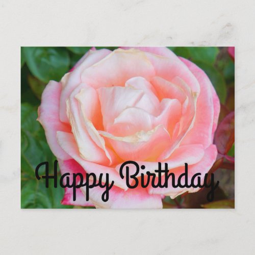 Happy Birthday Gemini Rose 1 Postcard