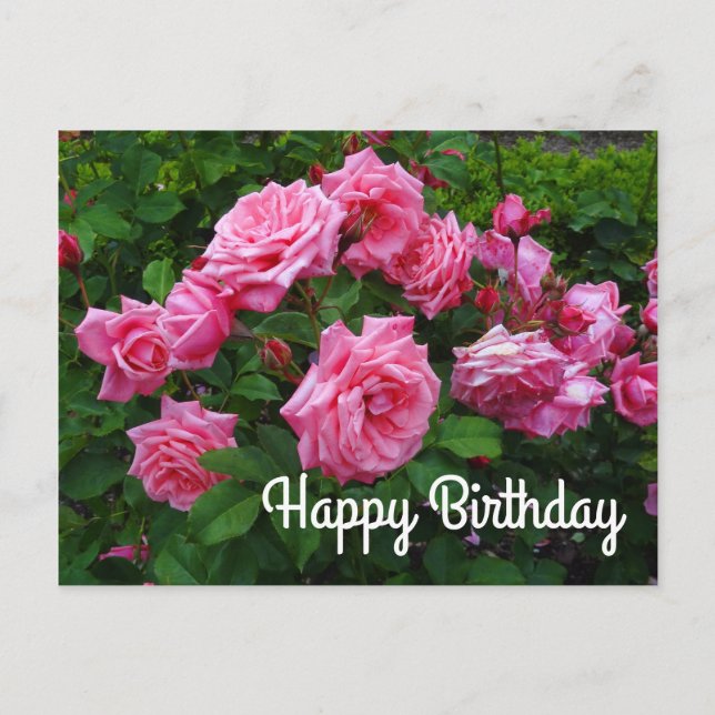 Happy Birthday Gene Boerner Rose #2 Postcard (Front)
