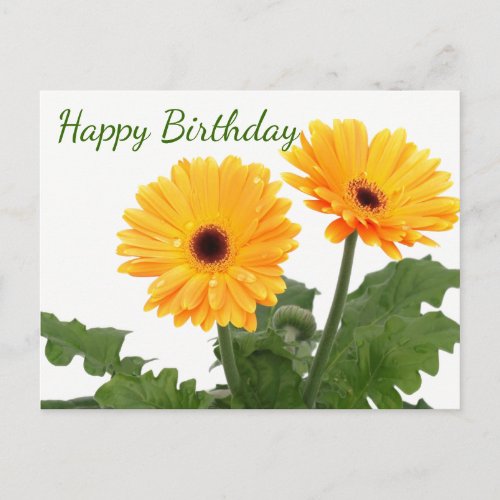 Happy Birthday Gerbera Daisy  Orange Green Flowers Postcard