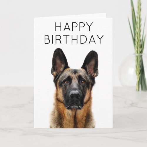 Happy Birthday  German Shepherd Card