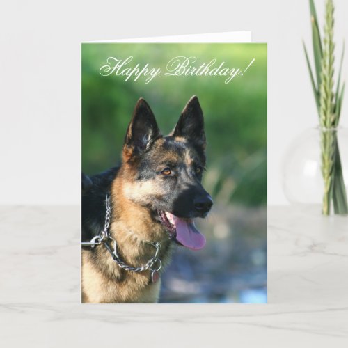 Happy Birthday German Shepherd greeting card