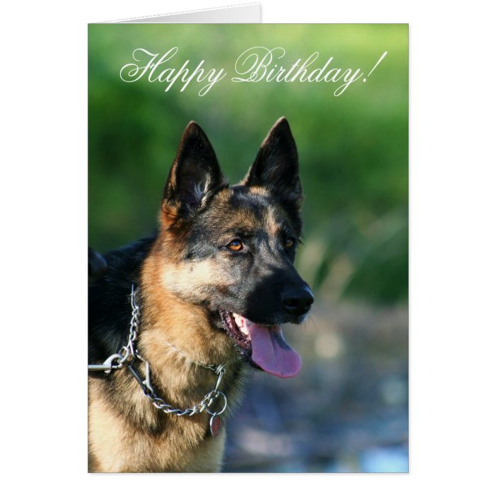 Happy Birthday German Shepherd greeting card