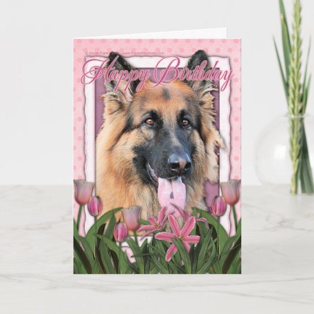 Happy Birthday - German Shepherd - Long Haired Card (Front)