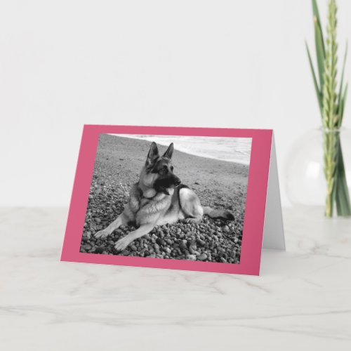 Happy Birthday German Shepherd Puppy Dog Card