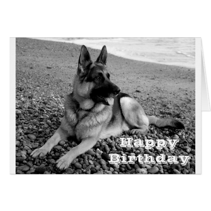 Happy Birthday German Shepherd Puppy Dog Card