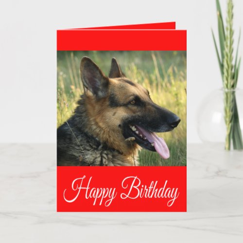 Happy Birthday German Shepherd Puppy Dog Card