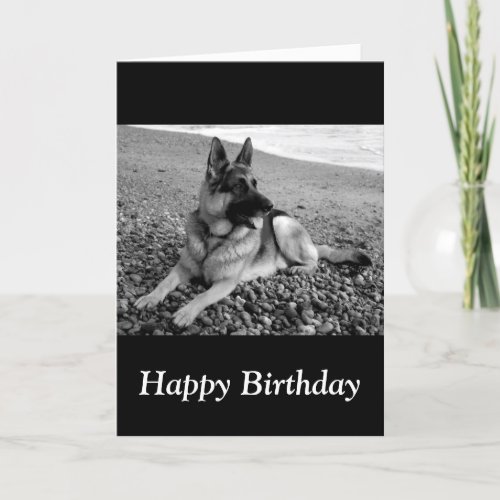 Happy Birthday German Shepherd Puppy Dog Card