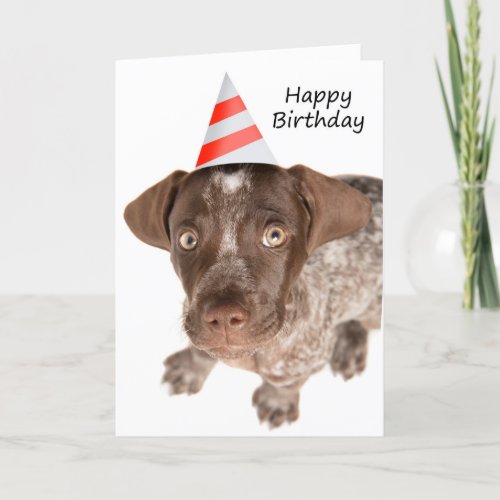 Happy Birthday German Shorthaired Pointer Puppy Holiday Card