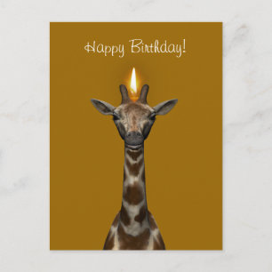 Happy Birthday Giraffe Postcard