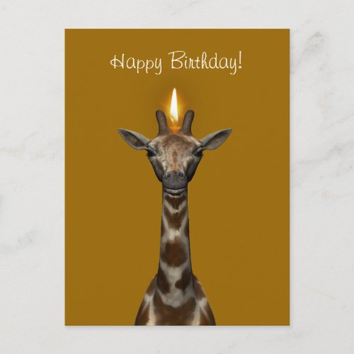 Happy Birthday Giraffe Postcard