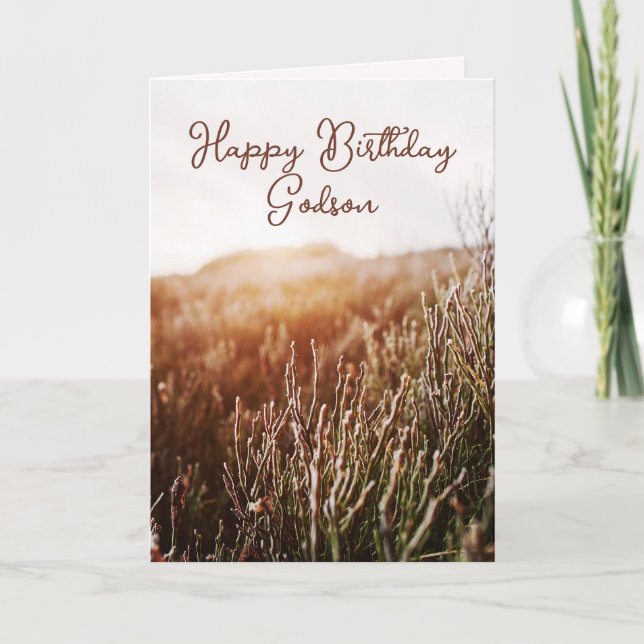 Happy Birthday Godson - Rustic Birthday Card (Front)