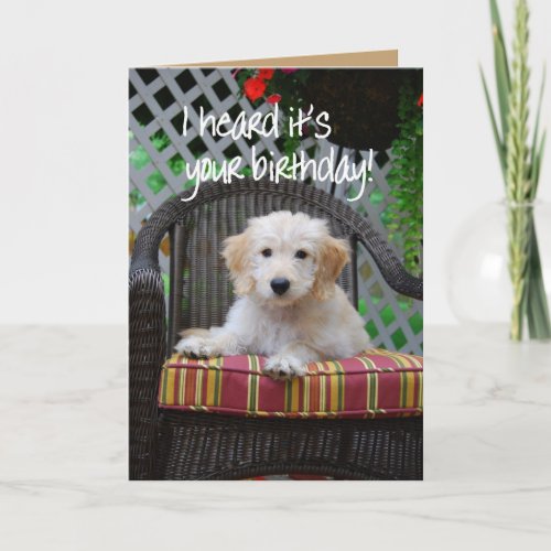 Happy Birthday Golden Doodle Puppy Card