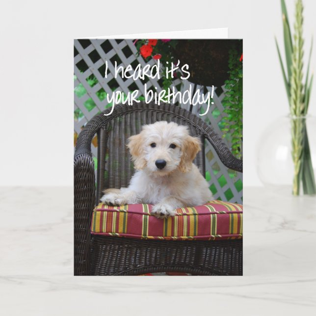 Happy Birthday Golden Doodle Puppy Card (Front)