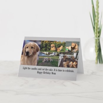Happy Birthday Golden Retriever Mom Collage Card by normagolden at Zazzle