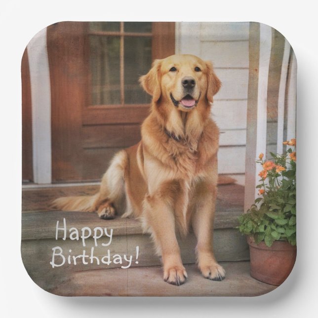 Happy Birthday Golden Retriever  Paper Plates (Front)