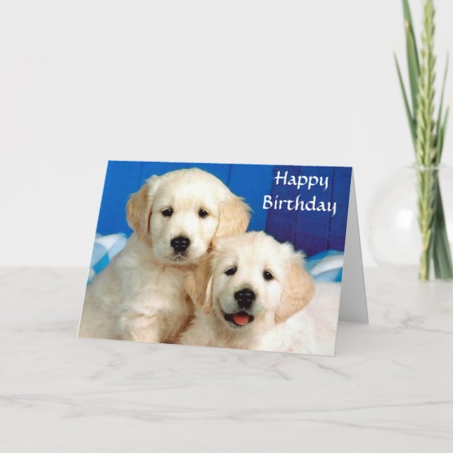 Happy Birthday Golden Retriever Puppies Card (Front)