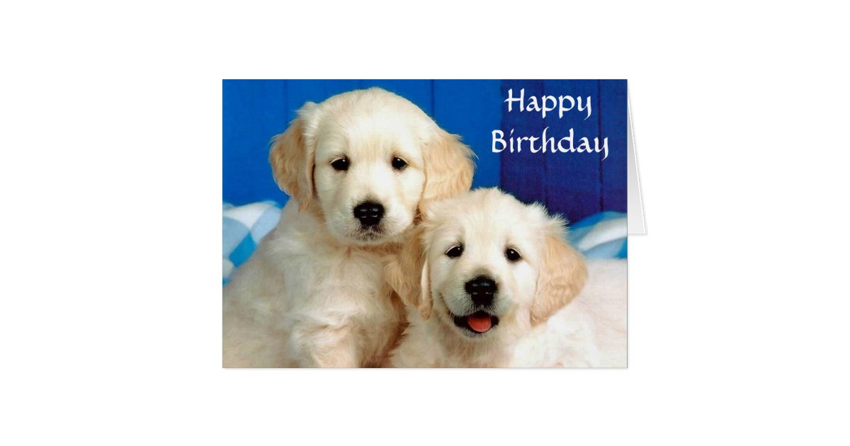 golden retriever birthday happy birthday golden retriever puppies card zazzle golden retriever birthday happy birthday golden retriever puppies card zazzle